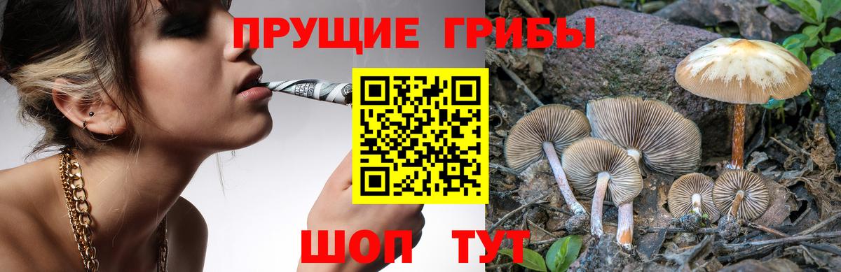 Галлюциногенные грибы GOLDEN TEACHER Кольчугино