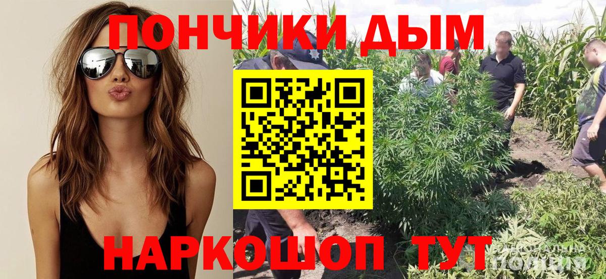 Бошки Шишки гибрид Кольчугино